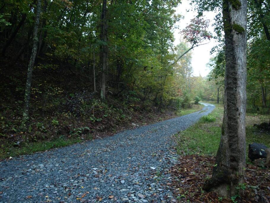Our Private Wooded Cabin Chatham Exterior foto